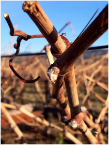 winter-blog-2