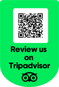 Trip Advisor